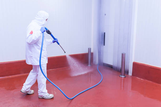 Best Concrete Surface Cleaning in Walnut Cove, NC